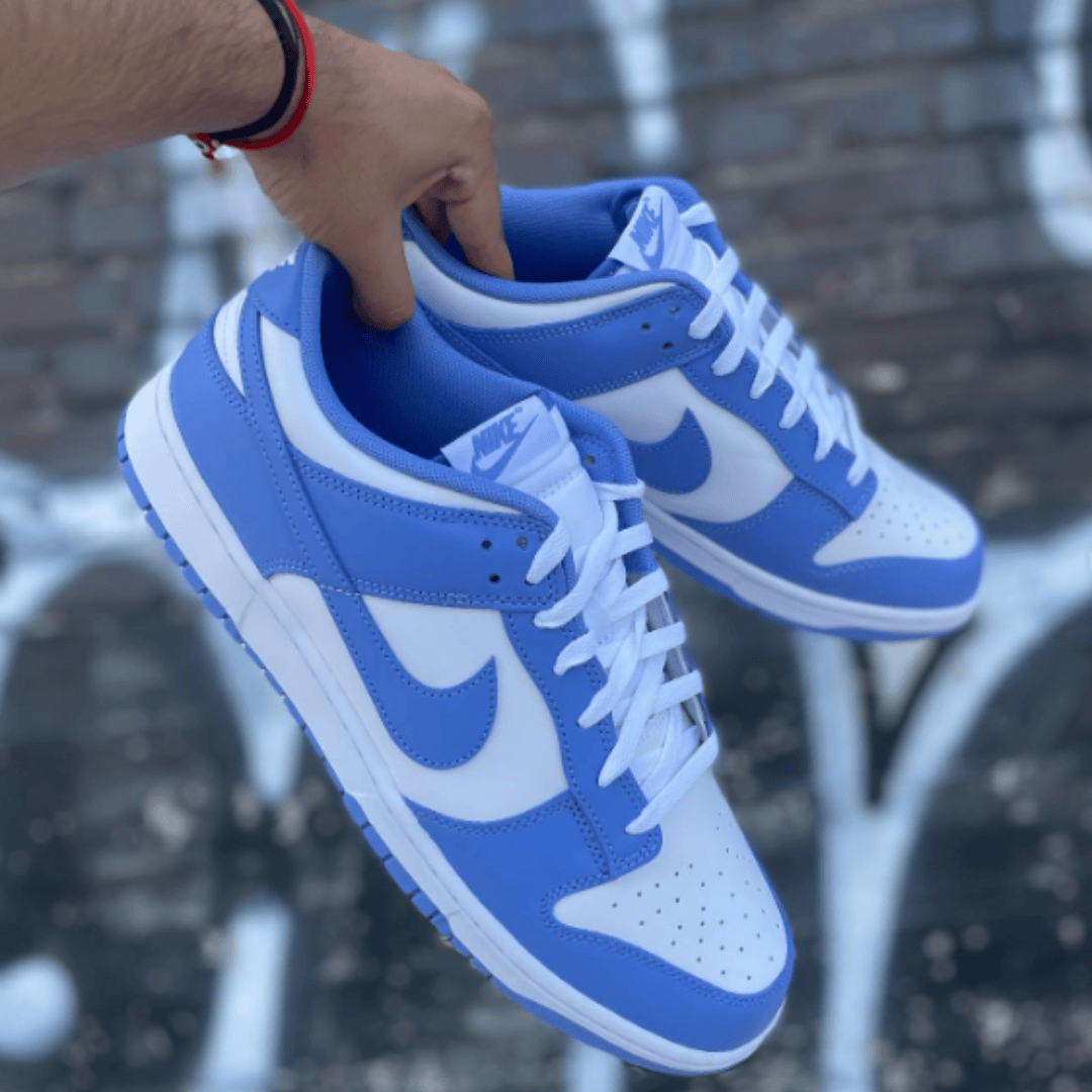 Dunk Low 'Polar Blue'